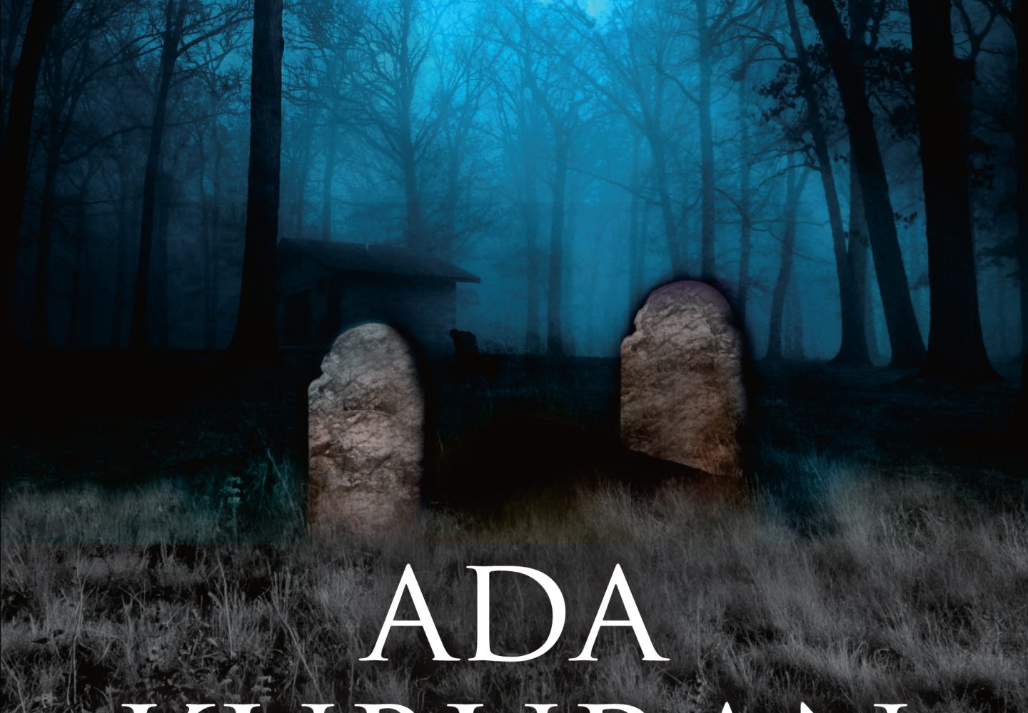 Novel Ada Kuburan Ciayo Indah