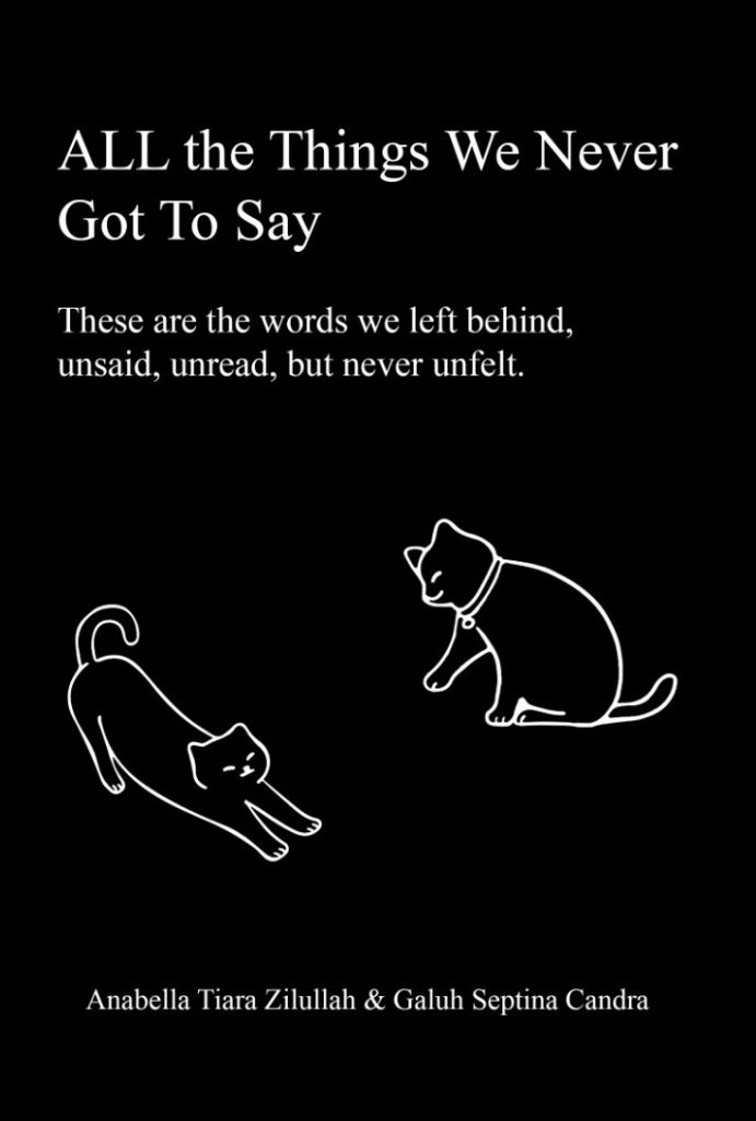 All The Things We Never Got To Say