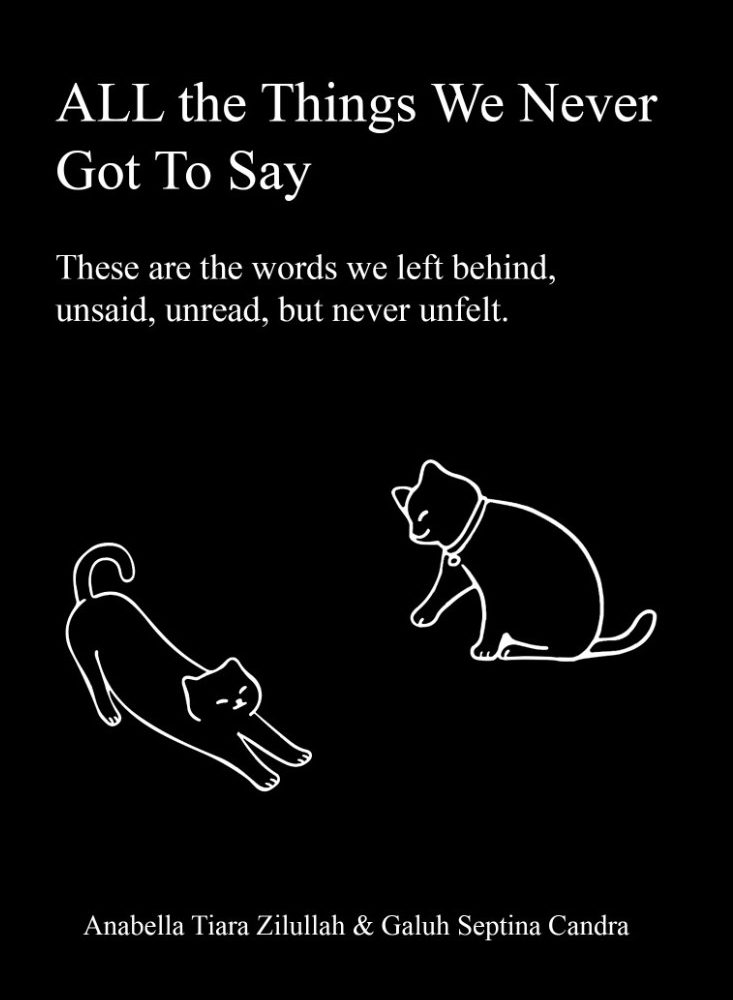 All The Things We Never Got To Say